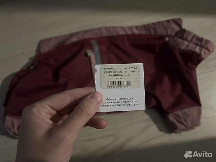 Дождевик для маленькой собаки