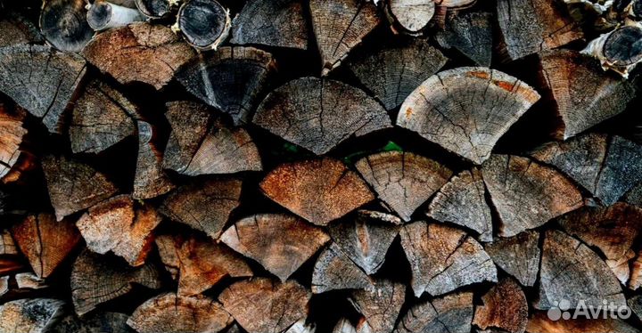 Дрова березовые