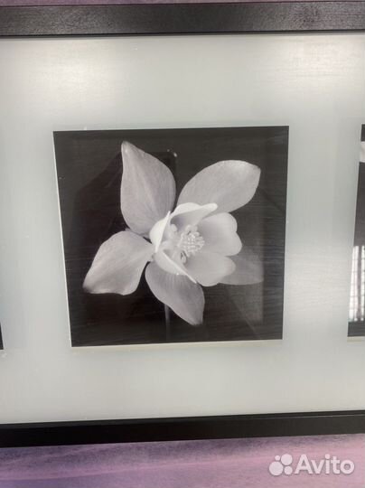 Картина из IKEA