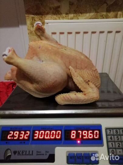 Мясо (куры, утки, гуси, индюки)