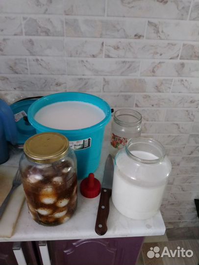 Продам козу дойную