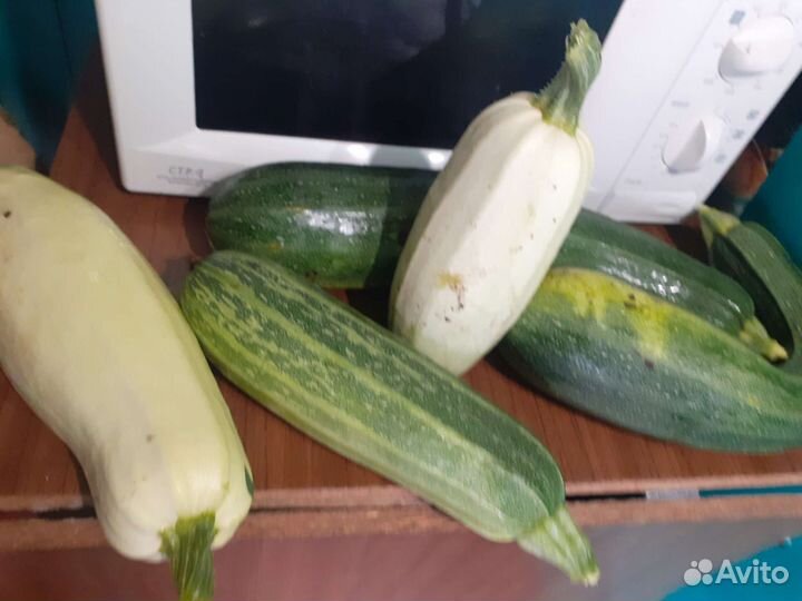 Кабачки.Цукини