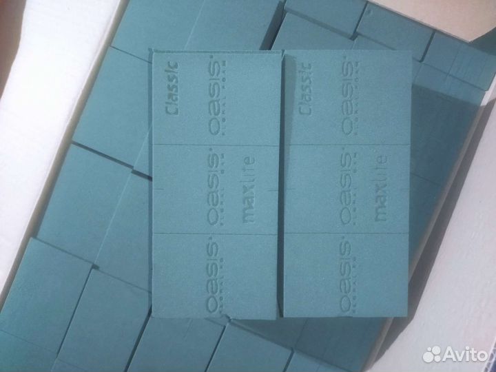 Оазис, губка