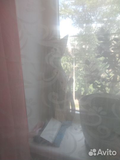 Тюль с ламбрикеном