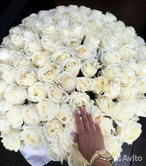 Высокие розы Гигантские розы 110 Доставка цветов