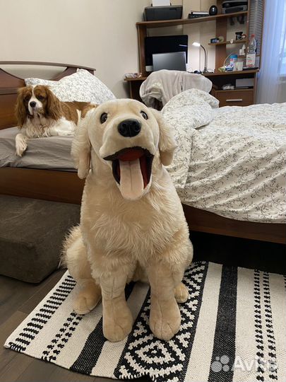 Большая плюшевая собака
