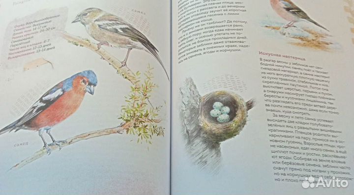 Книга с картинками и наклейками 