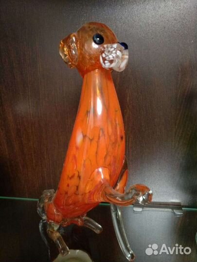 Собака из стекла