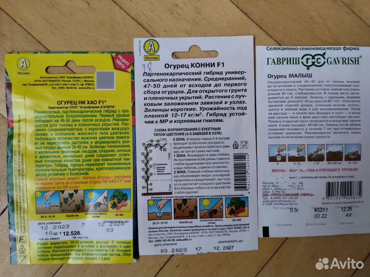 Рассада огурцов