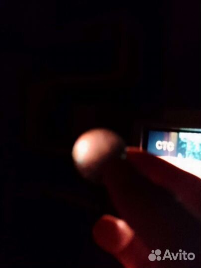 Попрыгунчик