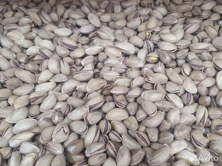 Фисташки иран