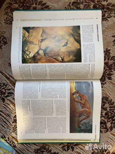 Книга азбука природы ридерз дайджест