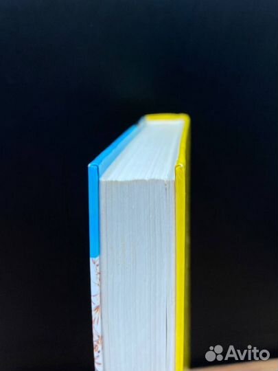 Большая кража