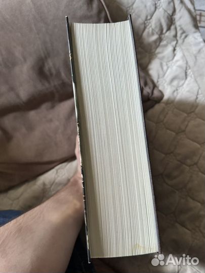 Ведьмак. Анджей Сапковский