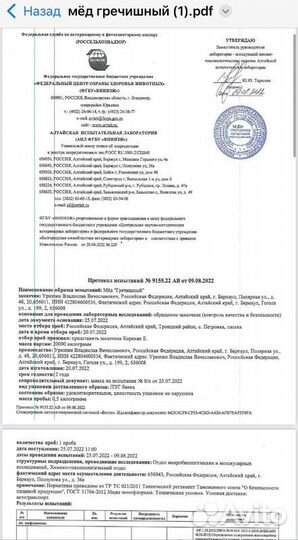 Мед свежий оптом гречишный