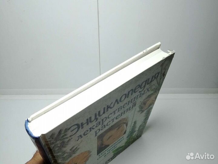 Энциклопедия лекарственных растений 