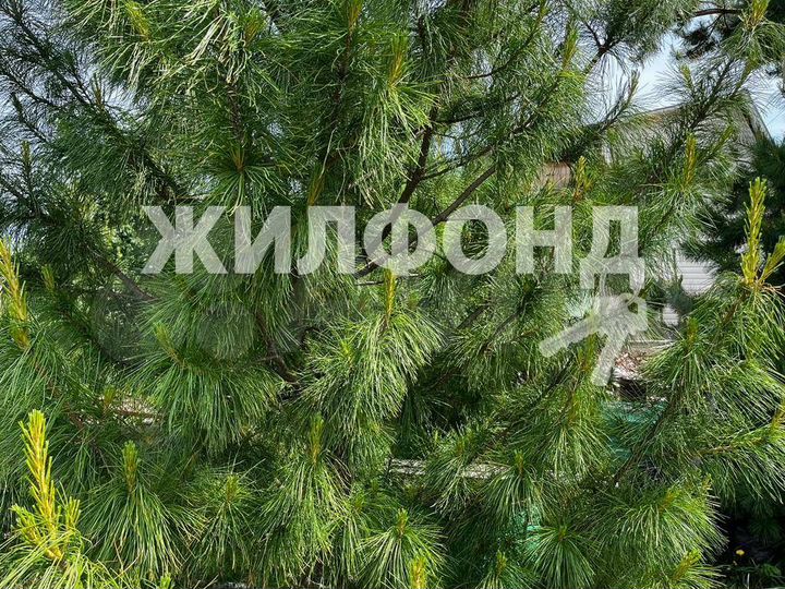 Дача 58 м² на участке 12 сот.