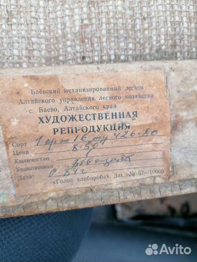 Репродукция картины Брюллов К. П.,Всадница