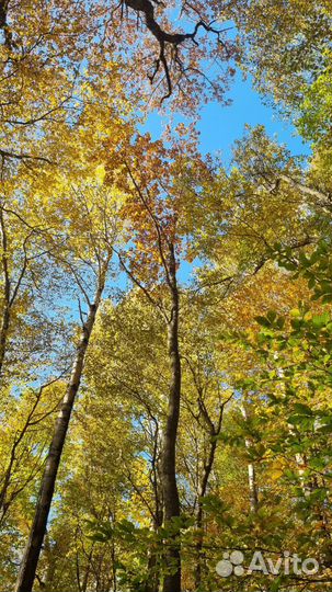 Отдых в горах Адыгеи