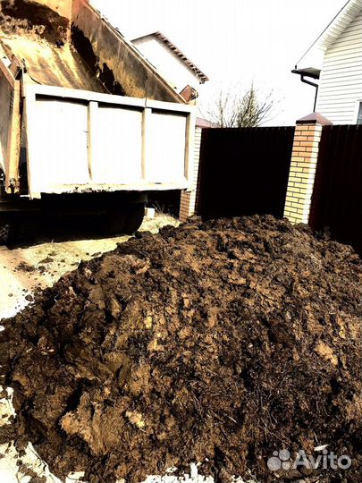 Навоз коровий