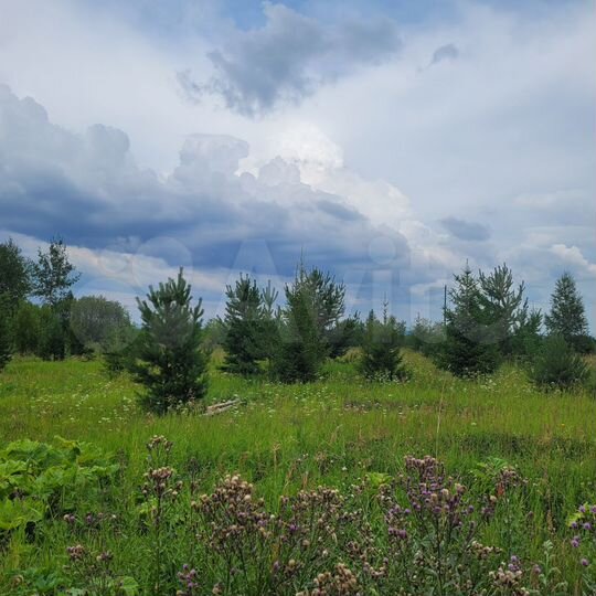 Участок 7,9 сот. (СНТ, ДНП)