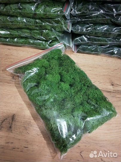Стабилизированный мох в пакетах по 100г