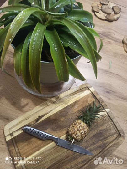 Ананас Беби (мини)