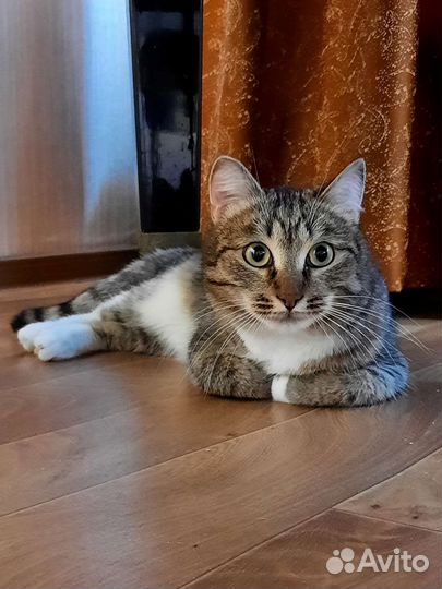 Европейская