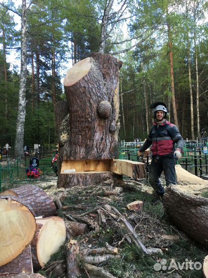 Камешково,Камешковский р-н спилить дерево,удаление