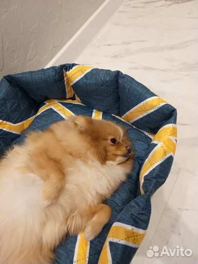 Лежанка для животных