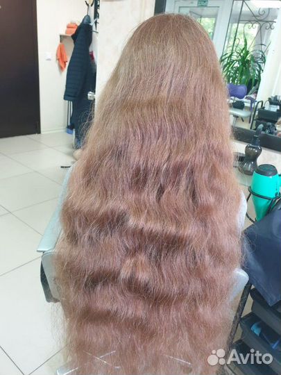 Скупка волос, купим Ваши волосы