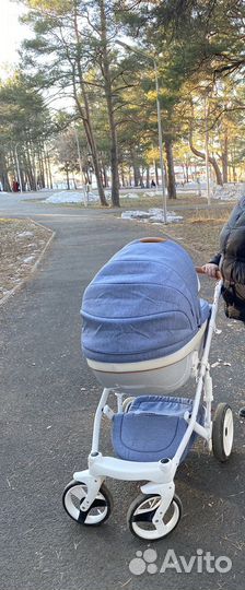 Коляска 3 в 1 Adamex monte carbon