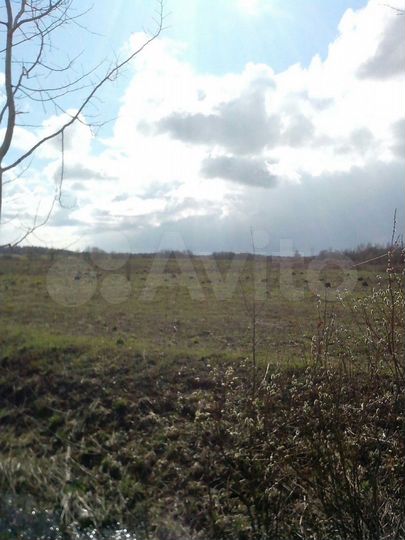 Участок 7 га (СНТ, ДНП)