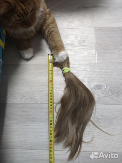 Волосы для наращивания