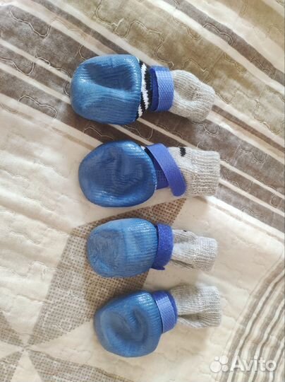 Обувь для собак мелких пород