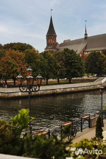 Доверительное управление недвижимостью, риелтор