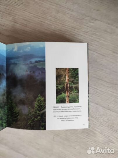 Чудеса света