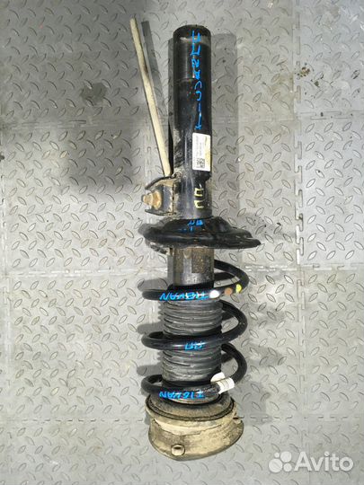 Амортизатор передний (Volkswagen Tiguan)