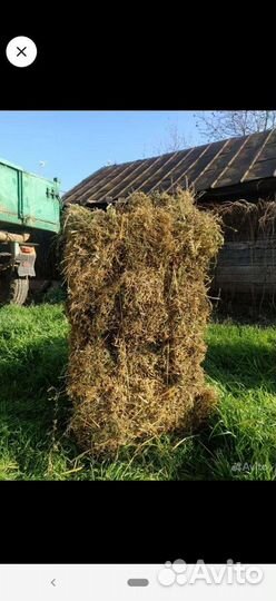 Сено, солома