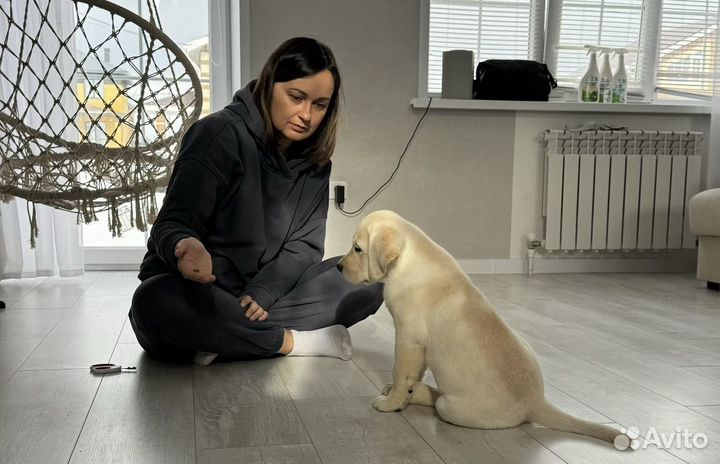 Кинолог. Дрессировка и воспитание собак