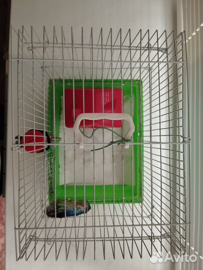 Клетка для грызунов бу