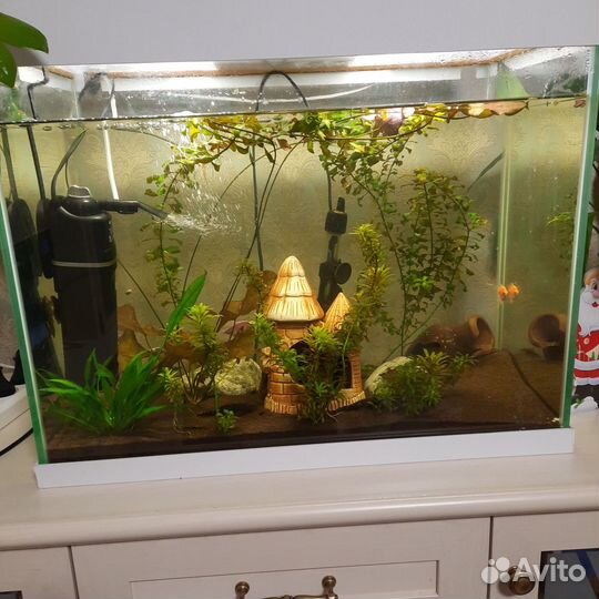 Аквариум