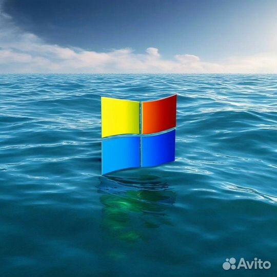 MS Windows 10:11 Home/Pro