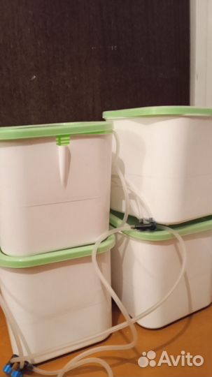 Проращиватель семян и микрозелени