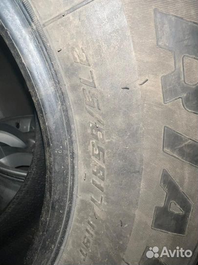 Winter Tact Nord Frost 3 5.10/4.5 R6.5