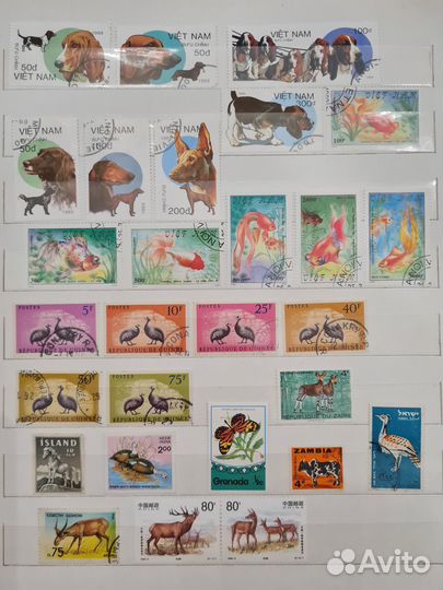 Почтовые марки фауна и флора