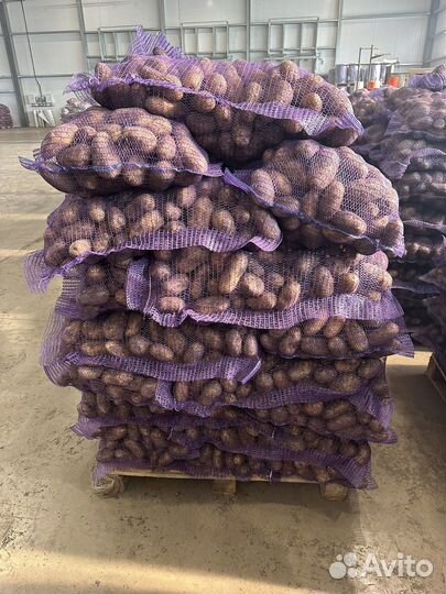 Продам картофель