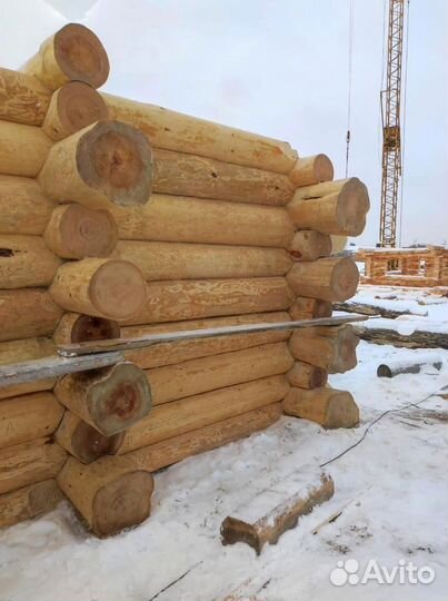 Сруб для бани из бревна