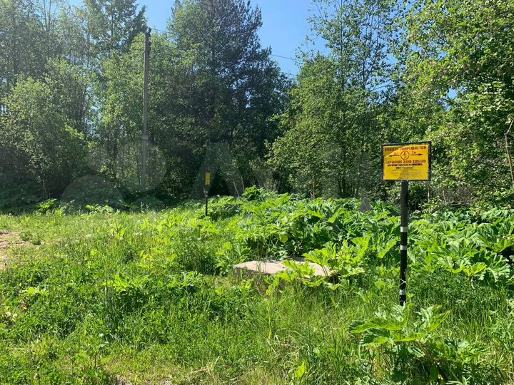 Участок 9 га (ИЖС)