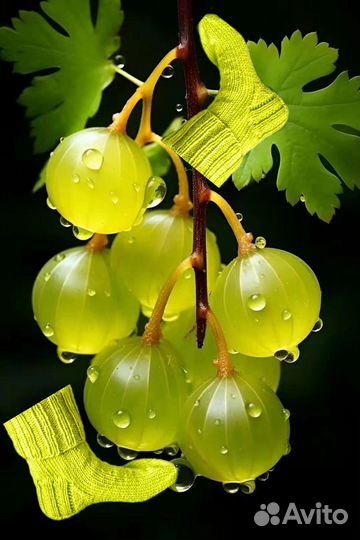 Элитное Вязание из Тибетского Яка Заказы Принимаю